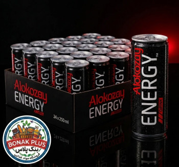 نوشیدنی انرژی زا نوشیدنی انرژی زا الکوزی Alokozay Energy باکس 24 تایی
